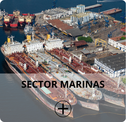 Fondo ULBIOS MARINAS